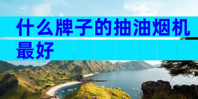 什么牌子的抽油烟机最好