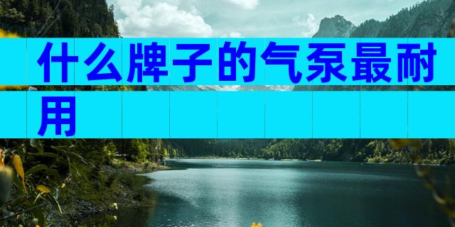 什么牌子的气泵最耐用