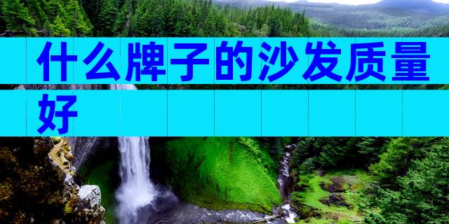 什么牌子的沙发质量好