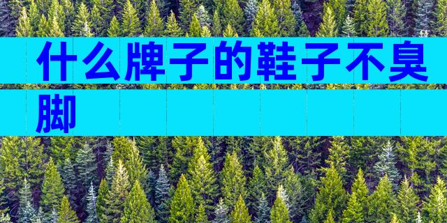 什么牌子的鞋子不臭脚