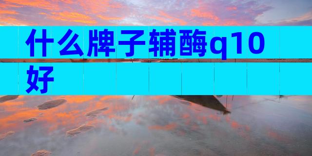 什么牌子辅酶q10好