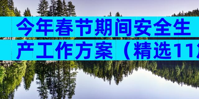 今年春节期间安全生产工作方案（精选11篇）