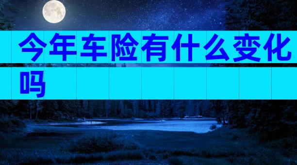 今年车险有什么变化吗