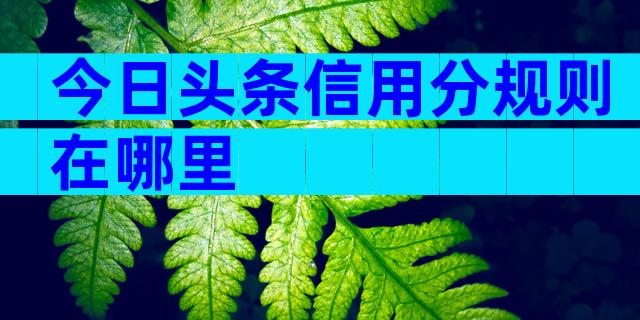 今日头条信用分规则在哪里