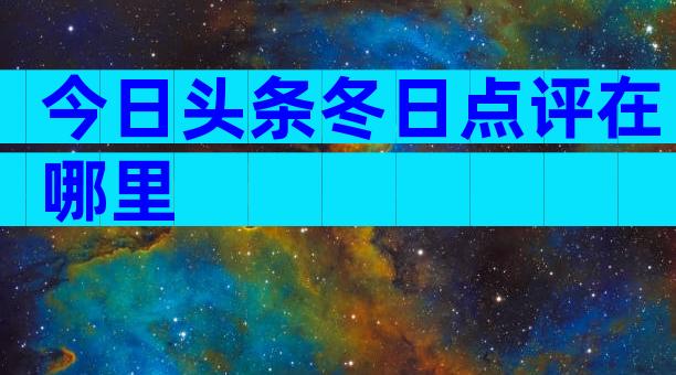 今日头条冬日点评在哪里