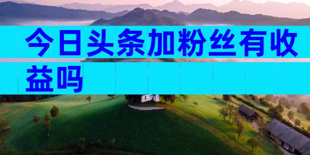 今日头条加粉丝有收益吗