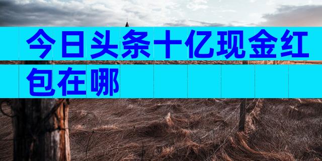 今日头条十亿现金红包在哪