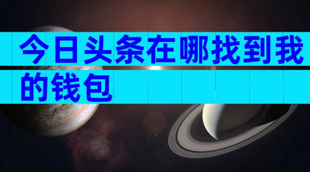 今日头条在哪找到我的钱包