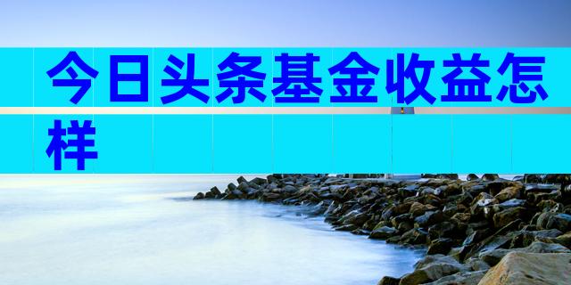 今日头条基金收益怎样
