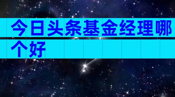 今日头条基金经理哪个好