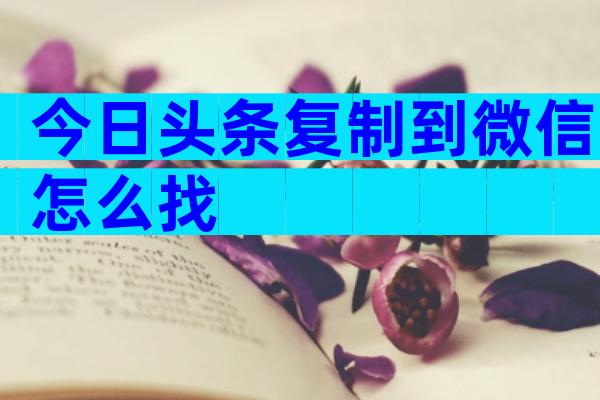 今日头条复制到微信怎么找