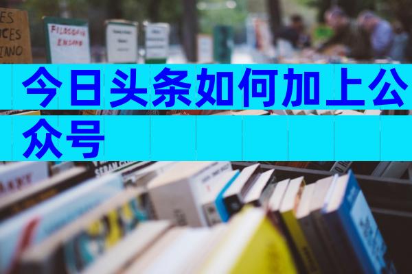 今日头条如何加上公众号