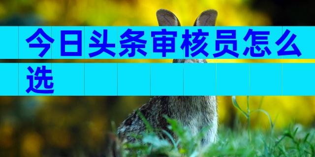 今日头条审核员怎么选