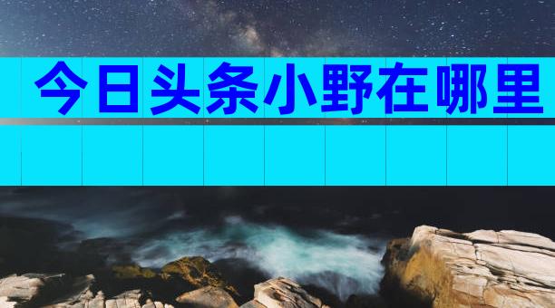 今日头条小野在哪里