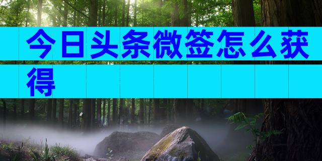 今日头条微签怎么获得