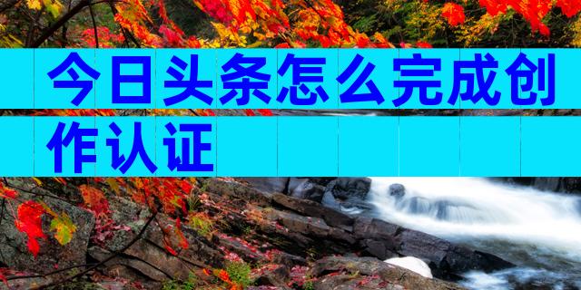 今日头条怎么完成创作认证