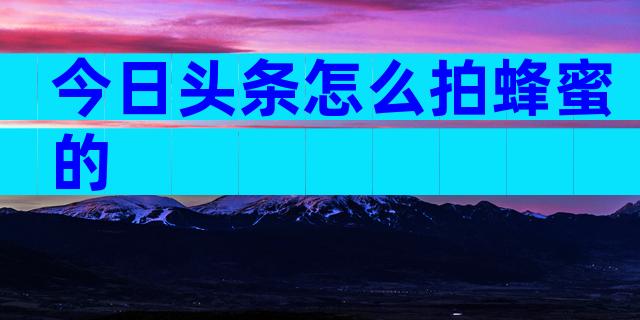 今日头条怎么拍蜂蜜的