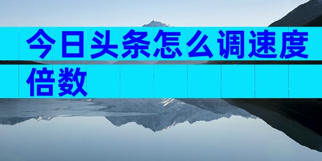 今日头条怎么调速度倍数