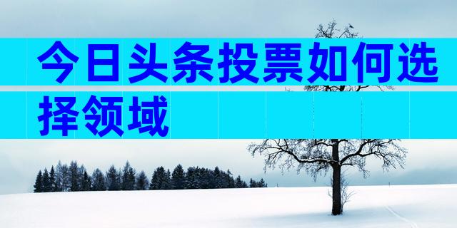 今日头条投票如何选择领域