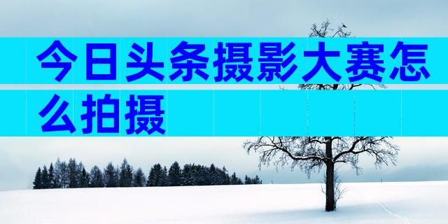 今日头条摄影大赛怎么拍摄