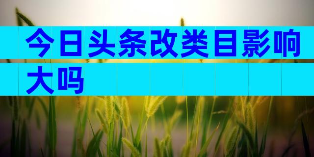 今日头条改类目影响大吗