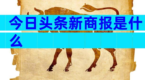 今日头条新商报是什么