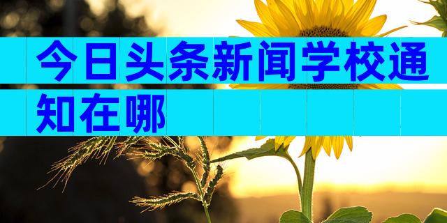 今日头条新闻学校通知在哪