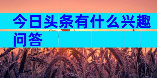 今日头条有什么兴趣问答