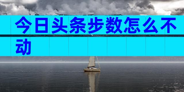 今日头条步数怎么不动