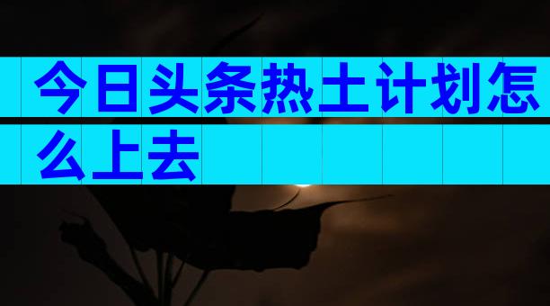 今日头条热土计划怎么上去
