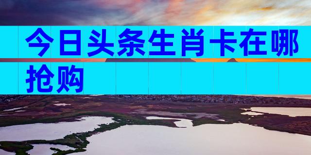 今日头条生肖卡在哪抢购