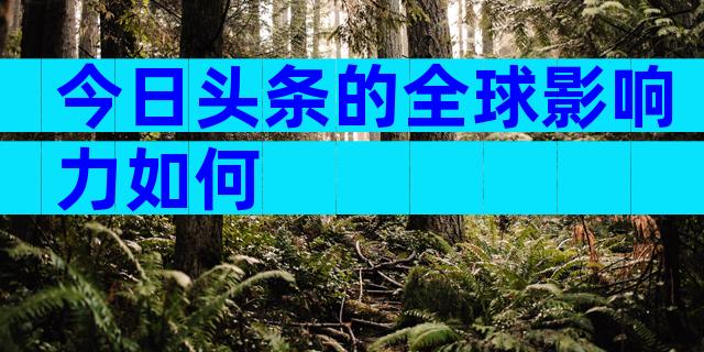 今日头条的全球影响力如何