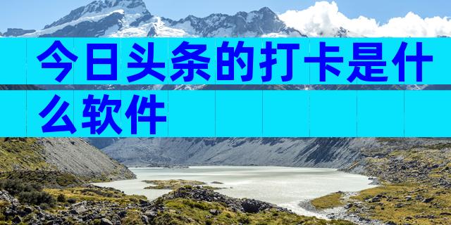 今日头条的打卡是什么软件