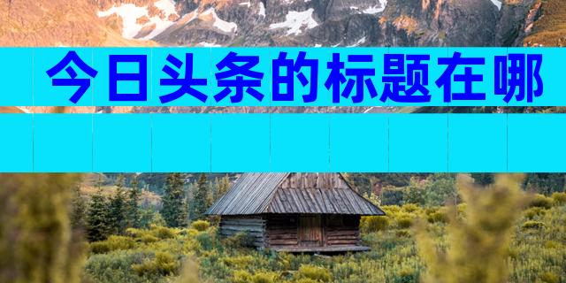 今日头条的标题在哪