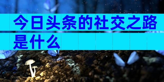 今日头条的社交之路是什么
