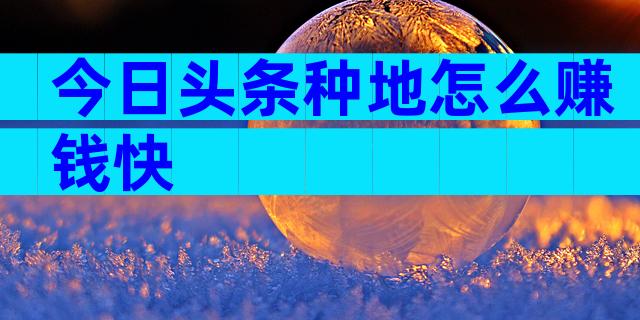 今日头条种地怎么赚钱快
