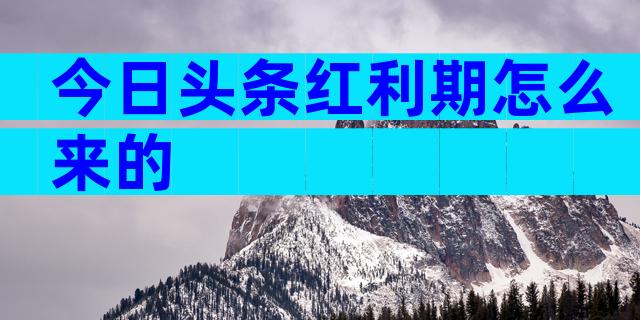今日头条红利期怎么来的