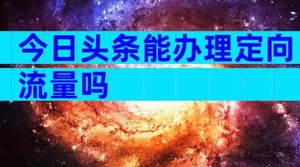 今日头条能办理定向流量吗