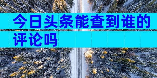 今日头条能查到谁的评论吗
