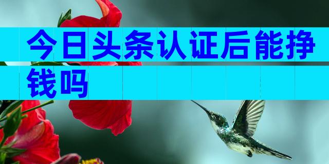 今日头条认证后能挣钱吗