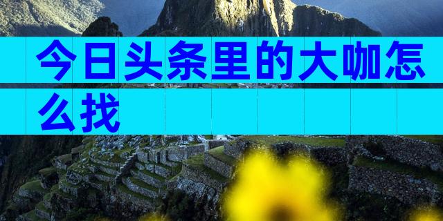 今日头条里的大咖怎么找