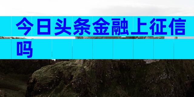 今日头条金融上征信吗