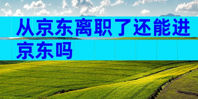 从京东离职了还能进京东吗