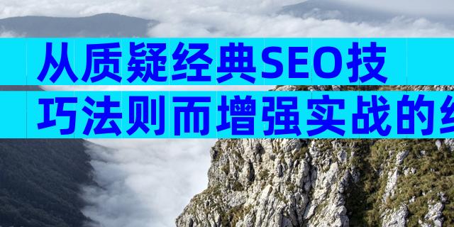 从质疑经典SEO技巧法则而增强实战的经验