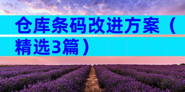 仓库条码改进方案（精选3篇）
