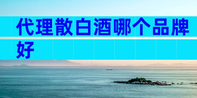代理散白酒哪个品牌好