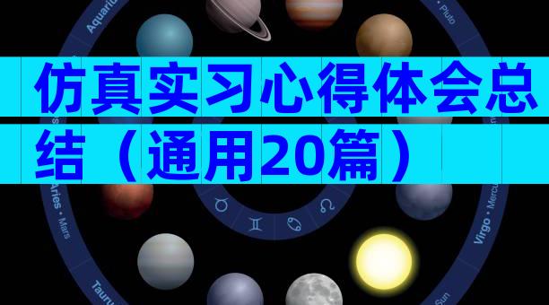 仿真实习心得体会总结（通用20篇）