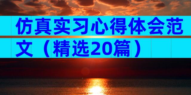 仿真实习心得体会范文（精选20篇）