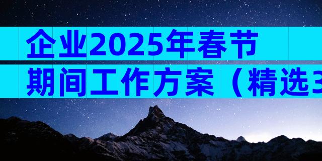 企业2025年春节期间工作方案（精选33篇）
