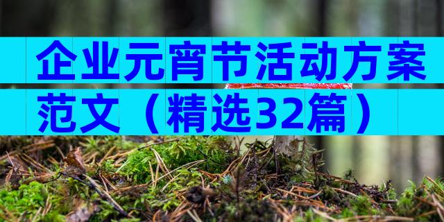 企业元宵节活动方案范文（精选32篇）